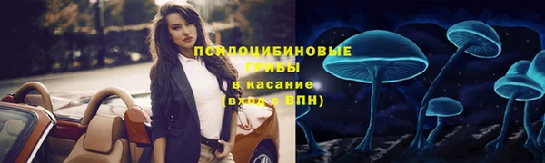 мяу мяу мука Барнаул