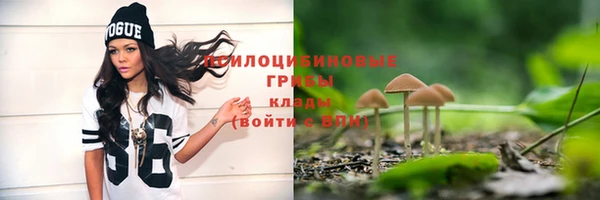 мяу мяу мука Барнаул