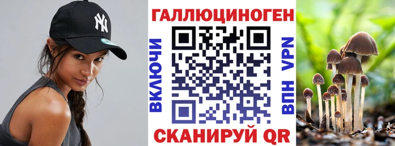 Галлюциногенные грибы мицелий  Купить где  Луга 